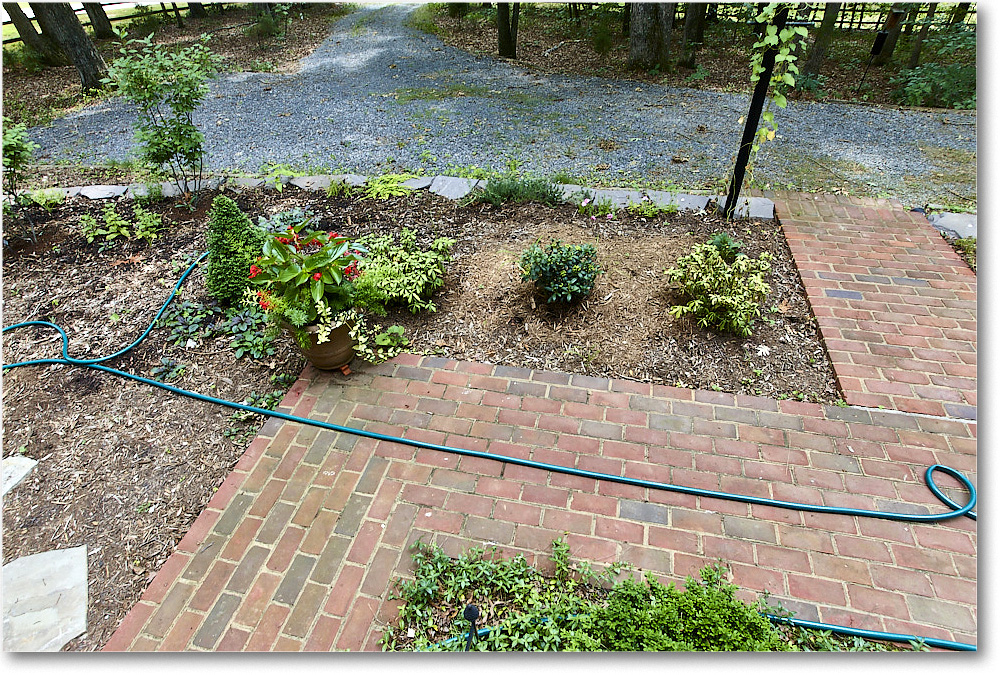 Susie'sGarden_2010Jun_S3A2123