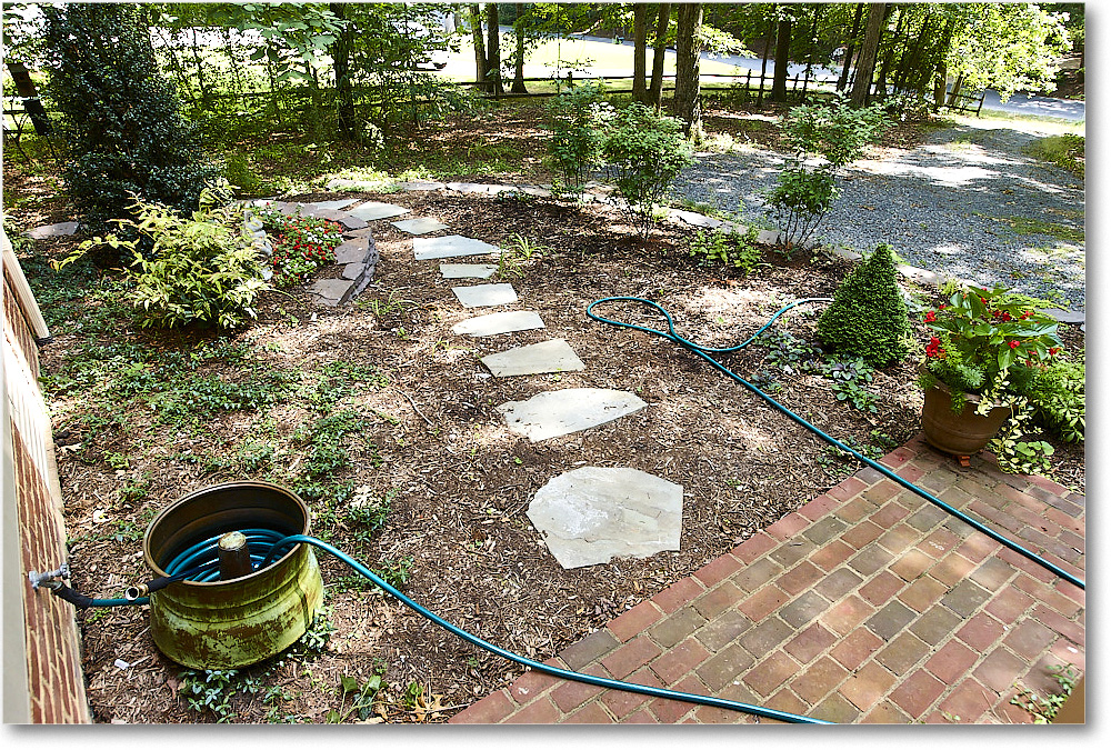 Susie'sGarden_2010Jun_S3A2124