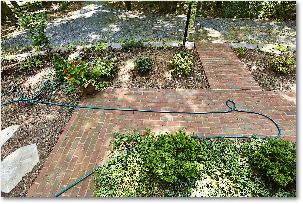 Susie'sGarden_2010Jun_S3A2125