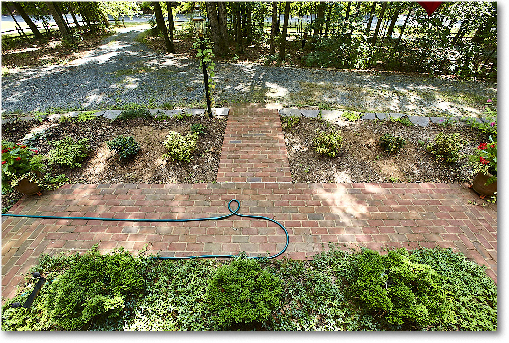 Susie'sGarden_2010Jun_S3A2126