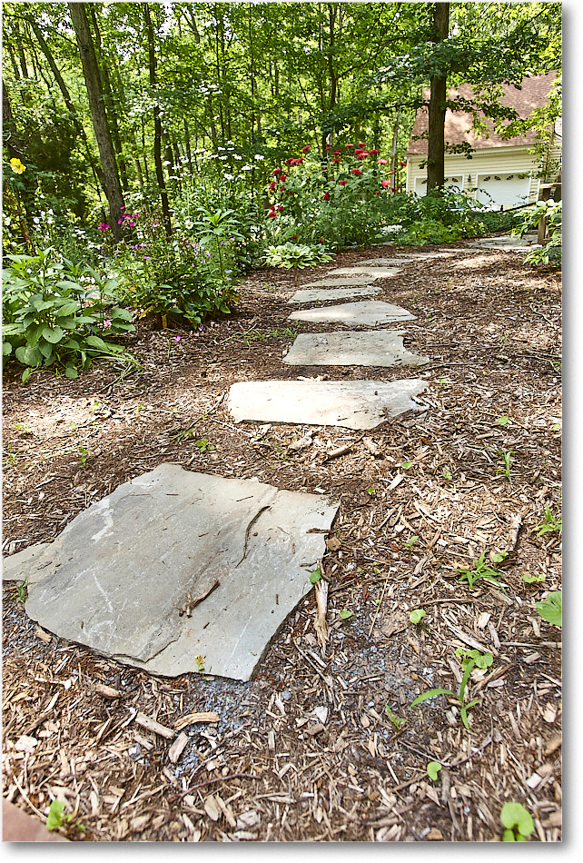 Susie'sGarden_2010Jun_S3A2129