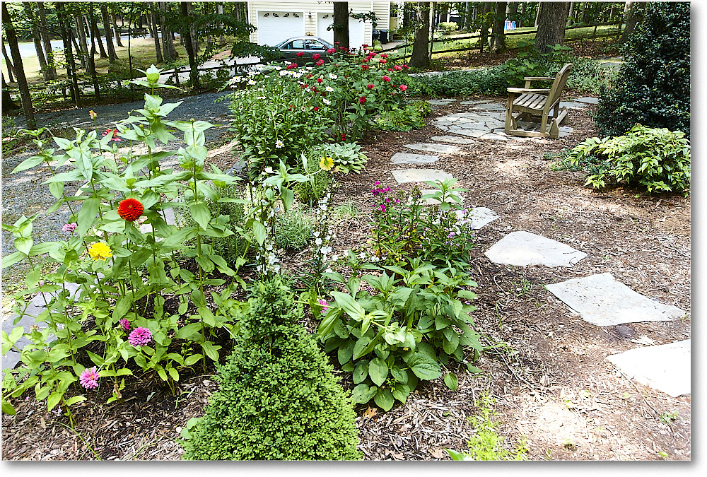 Susie'sGarden_2010Jun_S3A2131