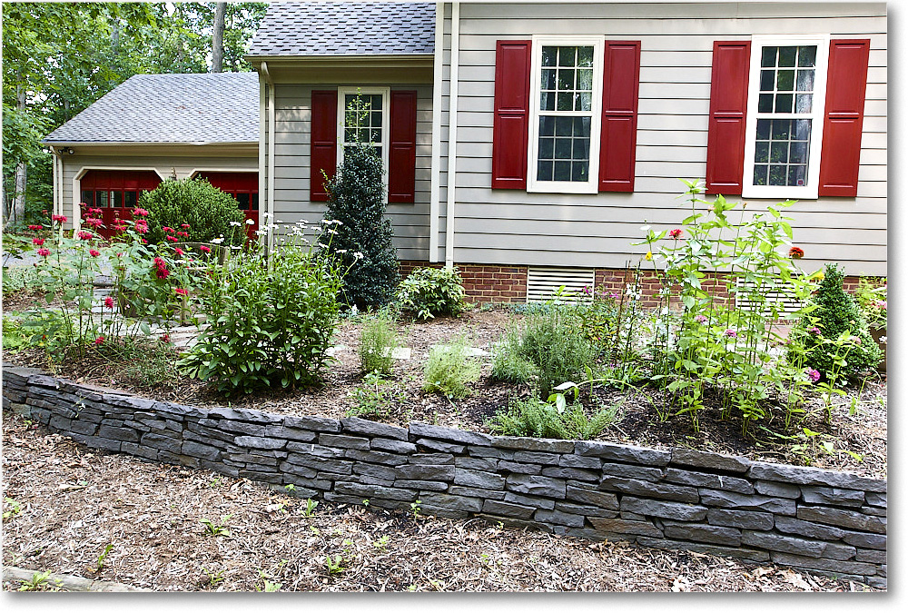 Susie'sGarden_2010Jun_S3A2132