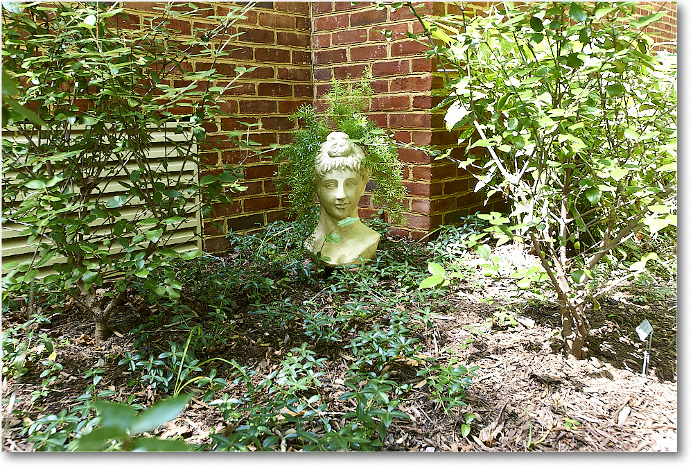 Susie'sGarden_2010Jun_S3A2136