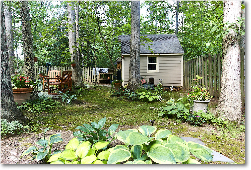 Susie'sGarden_2010Jun_S3A2142