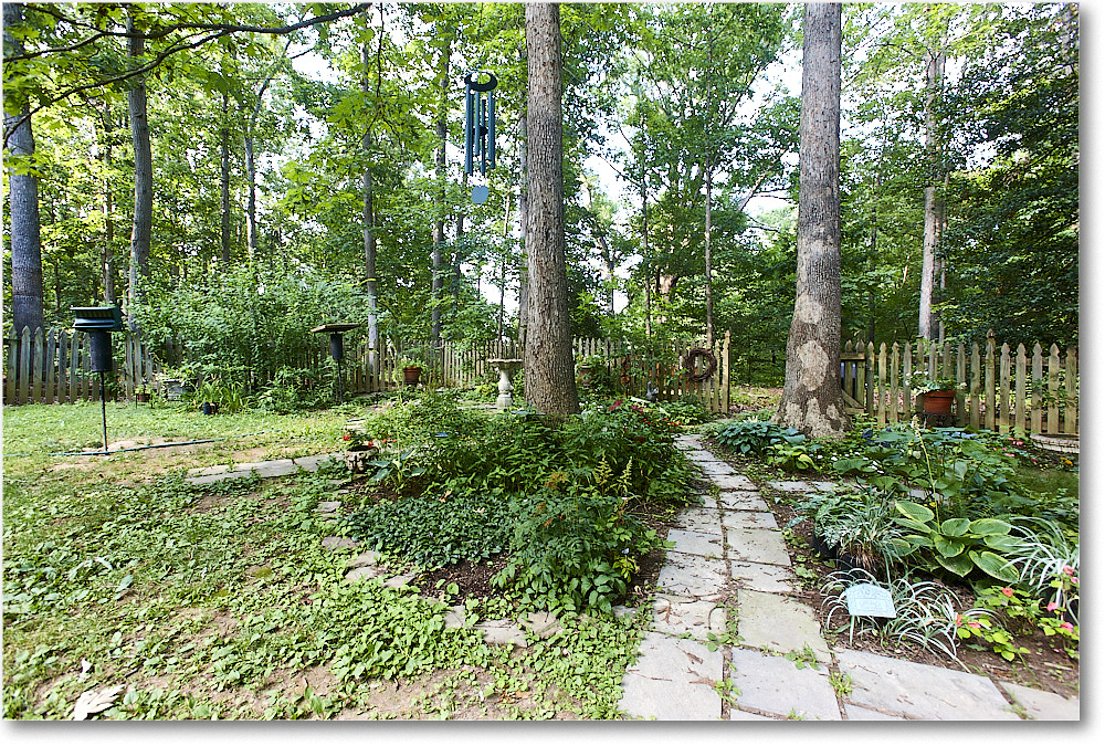 Susie'sGarden_2010Jun_S3A2146