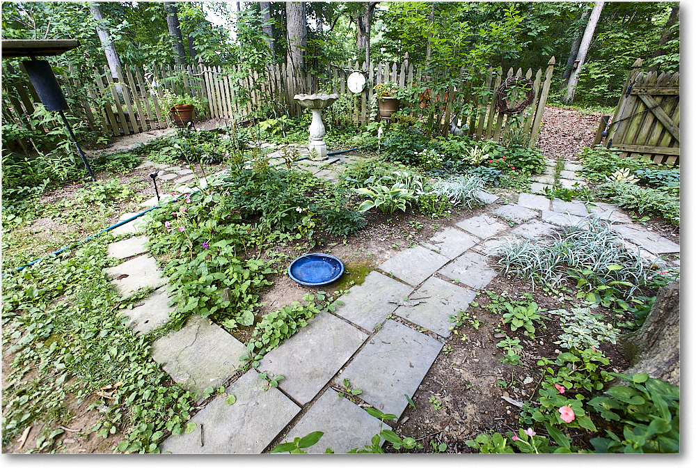 Susie'sGarden_2010Jun_S3A2148