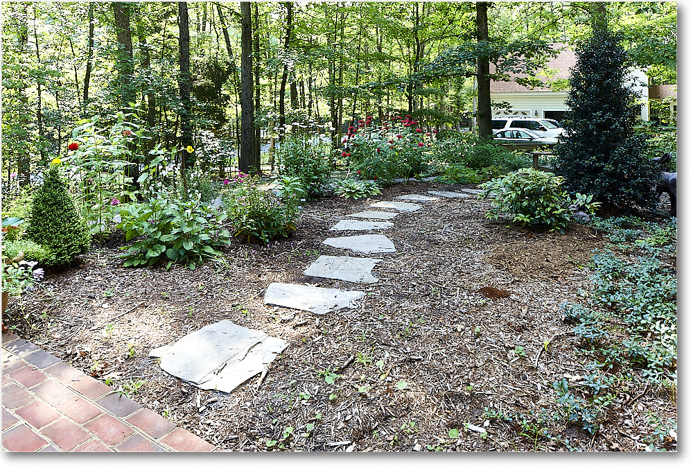 Susie'sGarden_2010Jun_S3A2153