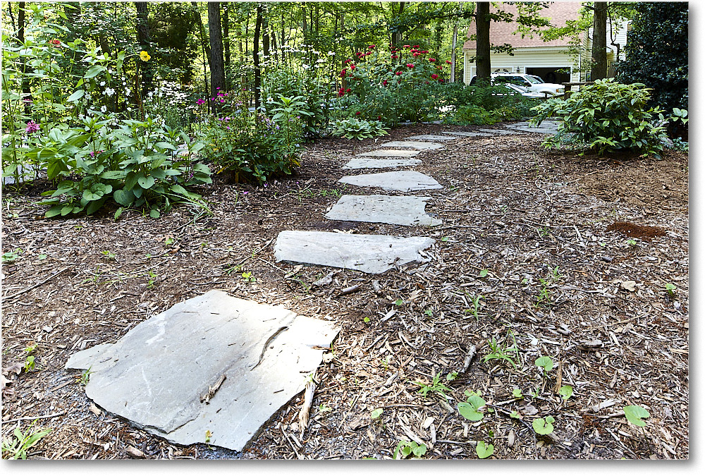 Susie'sGarden_2010Jun_S3A2155