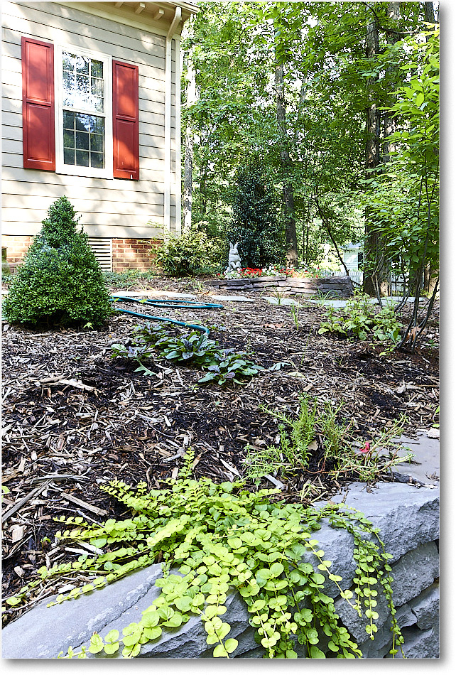 Susie'sGarden_2010Jun_S3A2158