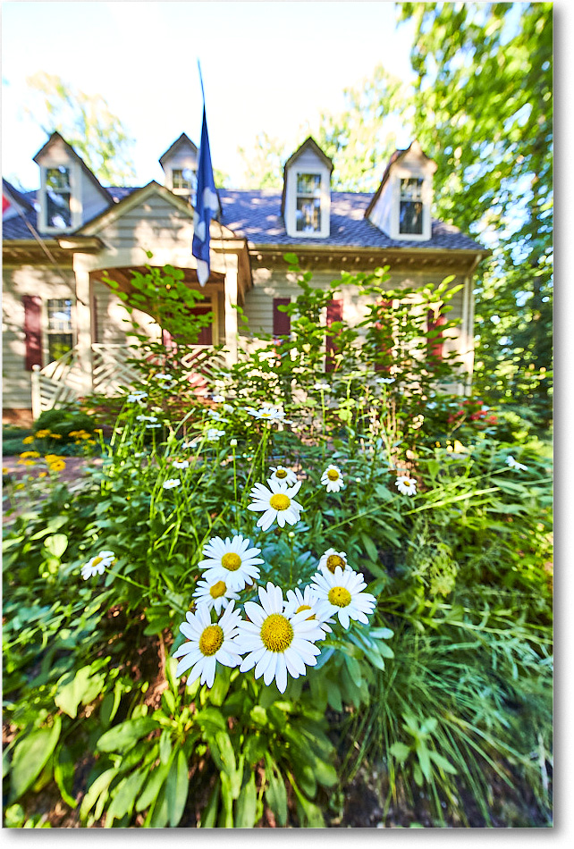 Susie'sGarden_2015Jul_1DXA2680