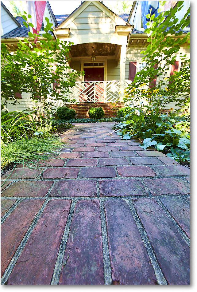 Susie'sGarden_2015Jul_1DXA2683