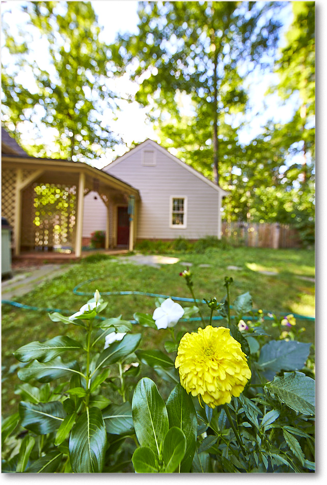 Susie'sGarden_2015Jul_1DXA2698