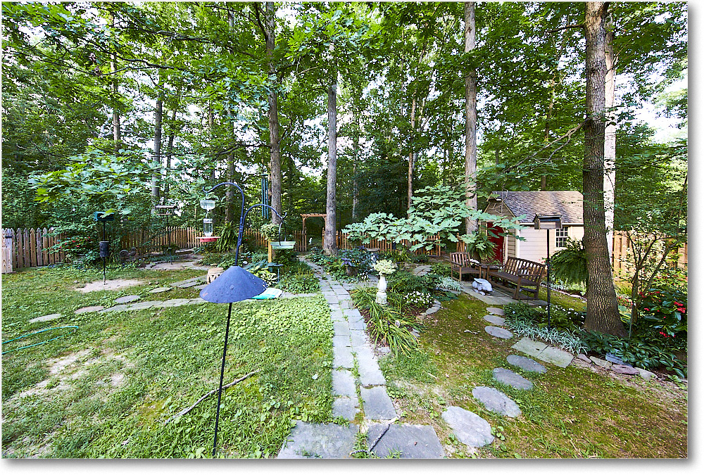 Susie'sGarden_2015Jul_1DXA2701