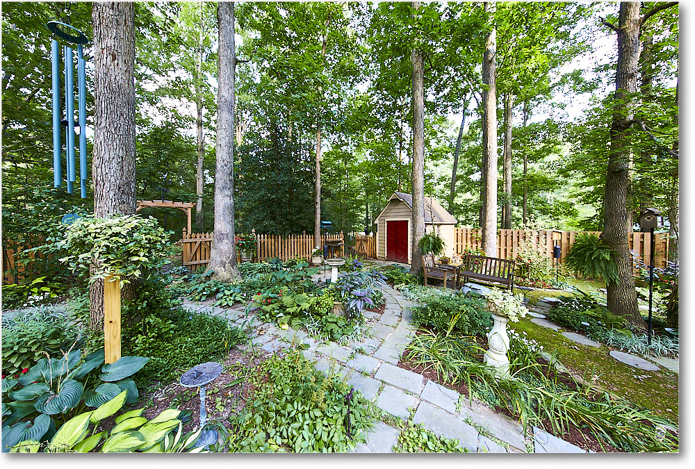 Susie'sGarden_2015Jul_1DXA2702