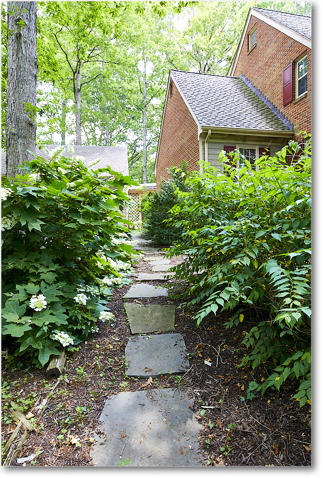 Susie'sHydrangas_2020Jun_5D4A2558