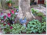 Susie'sGarden_2010Jul_IMG_0147