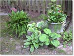Susie'sGarden_2010Jul_IMG_0154