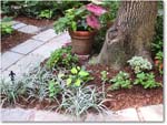 Susie'sGarden_2010Jul_IMG_0191