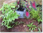 Susie'sGarden_2010Jul_IMG_0215
