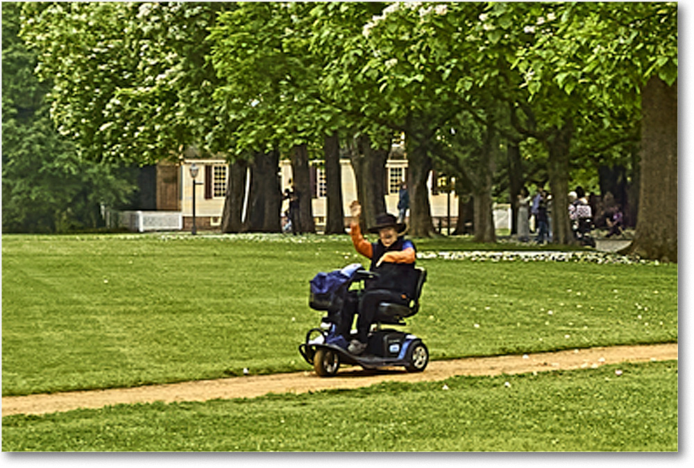 A018 PalaceGreenCatalpaTrees_Williamsburg_2025May_R5A25053 copy