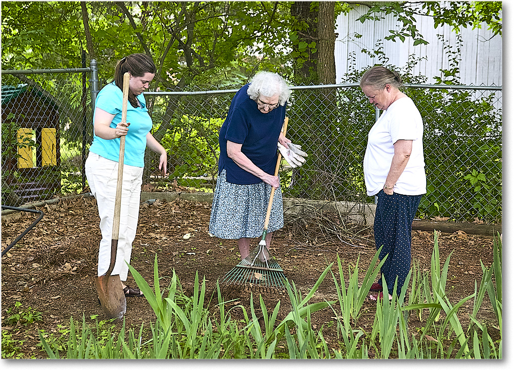 A040 DiggingForBulbs_Jackson_2004Jun_1FFT5327 copy