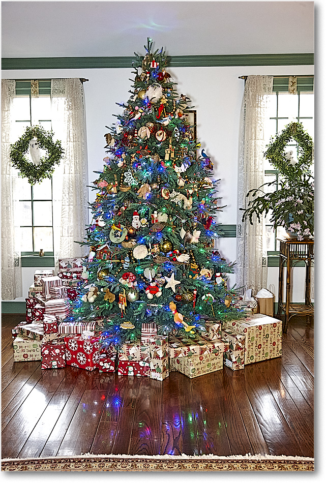 A111 Tree_Christmas2014_S3A8483 copy