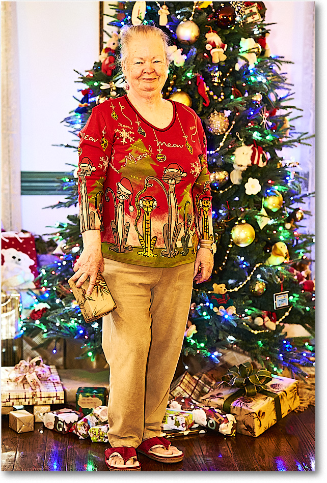 A112 Susa n_Christmas2015_2DXB1874 copy