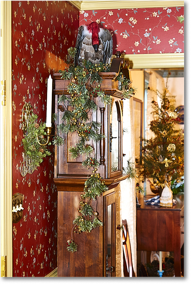 A113 Decorations_Christmas2014_S3A8496 copy
