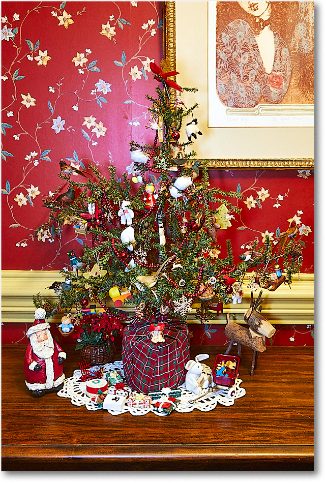 A113 UpstairsHall_Chr5stmas2016_5D4A0474_1 copy