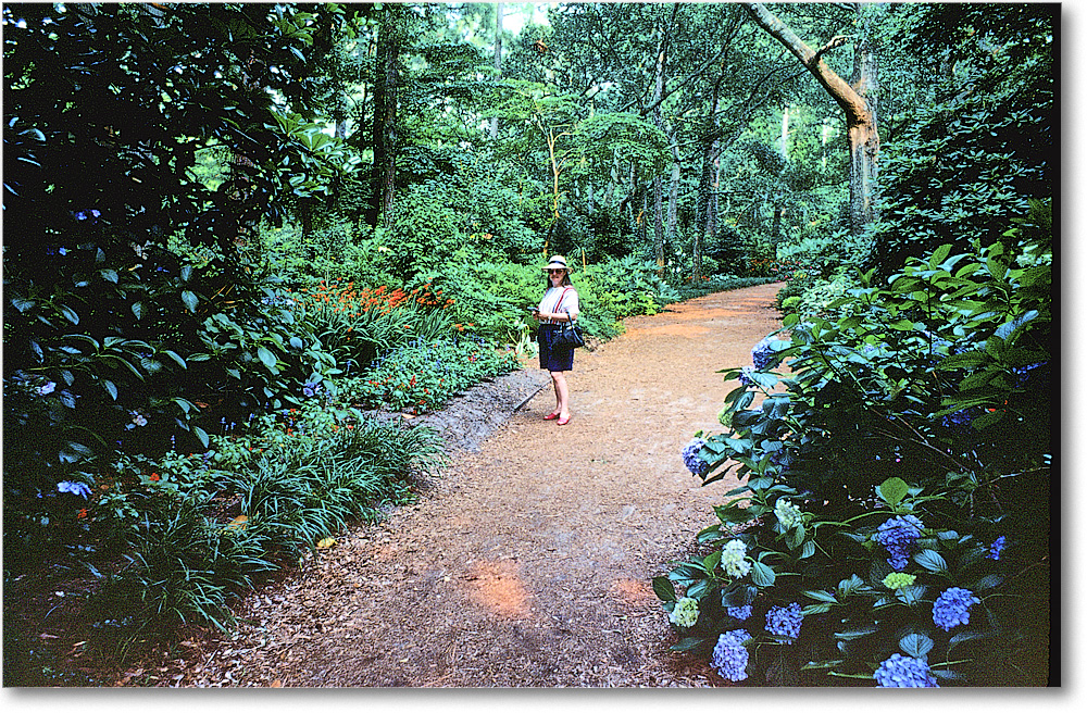 A143 Susan_Manteo_1988Jul_SCB6-R2C2-PT-KR35 copy