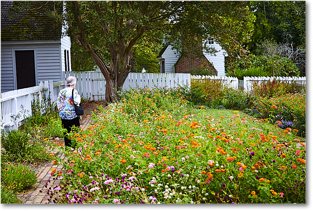 A149 Taliaferro-ColeGarden_Williamsburg_2019Oct_5D4A1890 copy