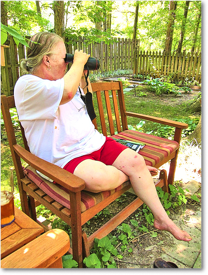 A159 SusanBirdWatching_Home_2010Jun_S90-009 copy