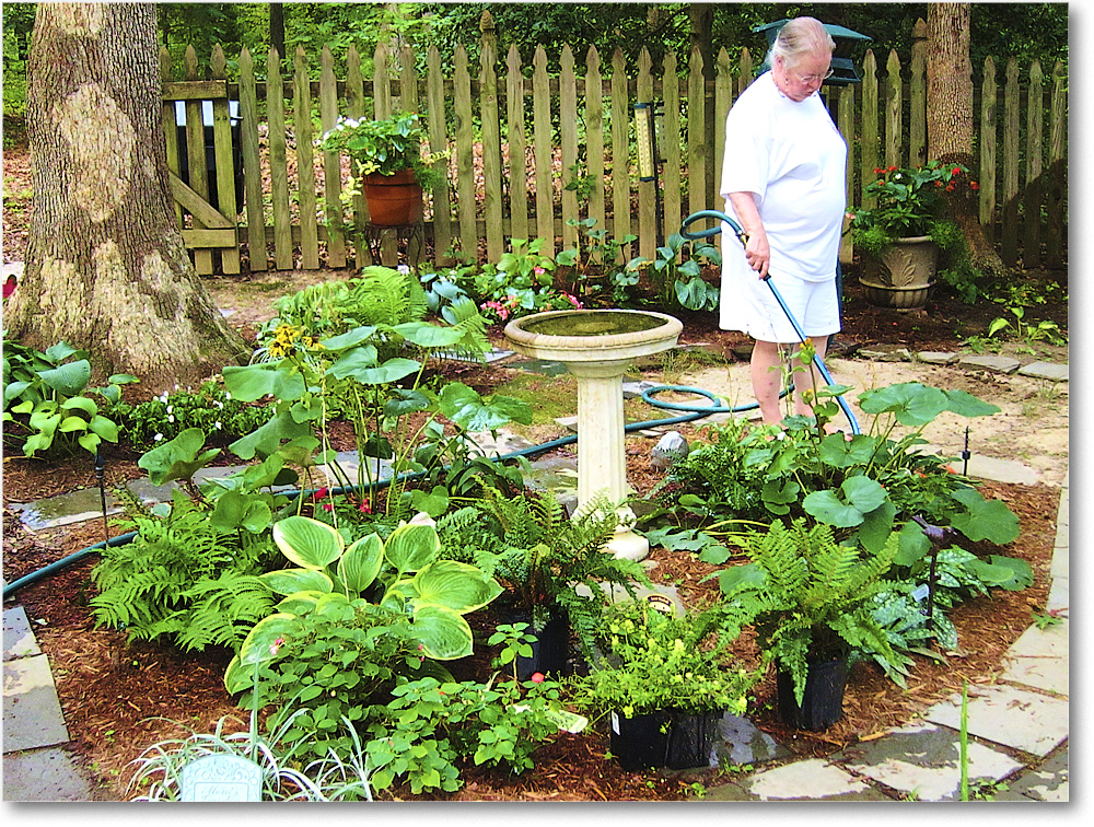 A164 Susie'sGarden_2010Jul_IMG_0163 copy