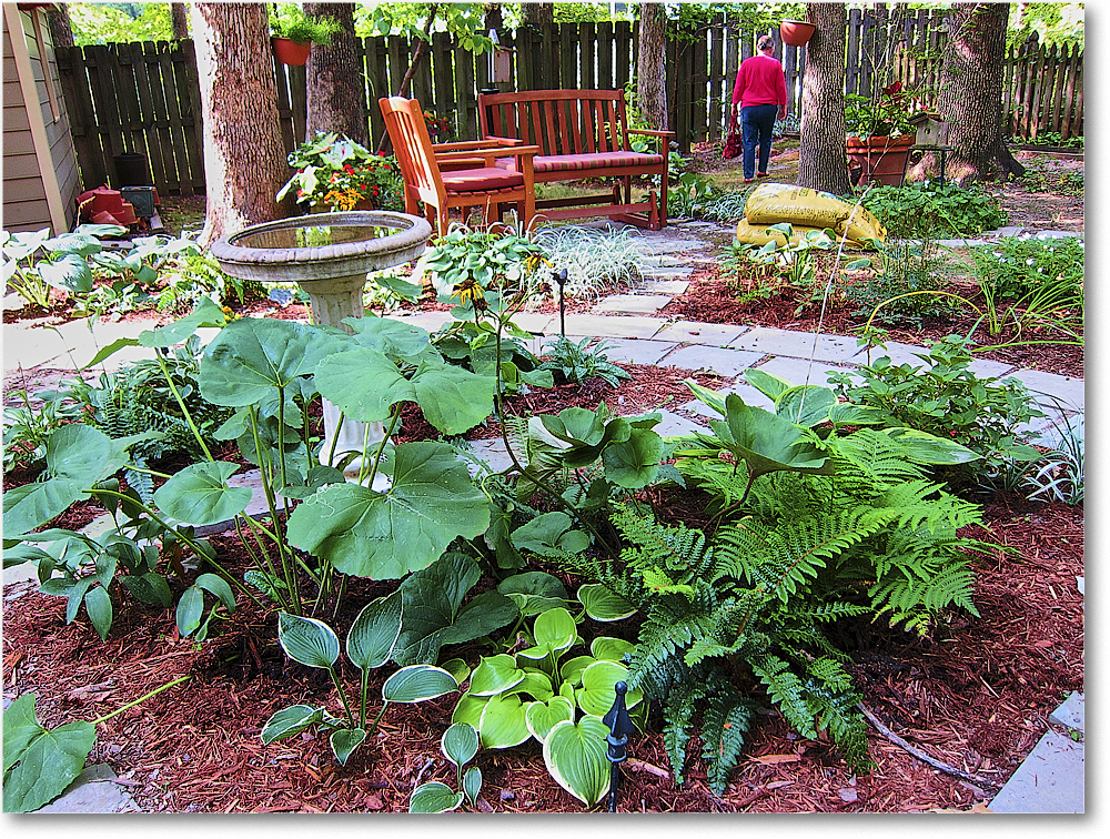 A166 Susie'sGarden_2010Jul_IMG_0203 copy