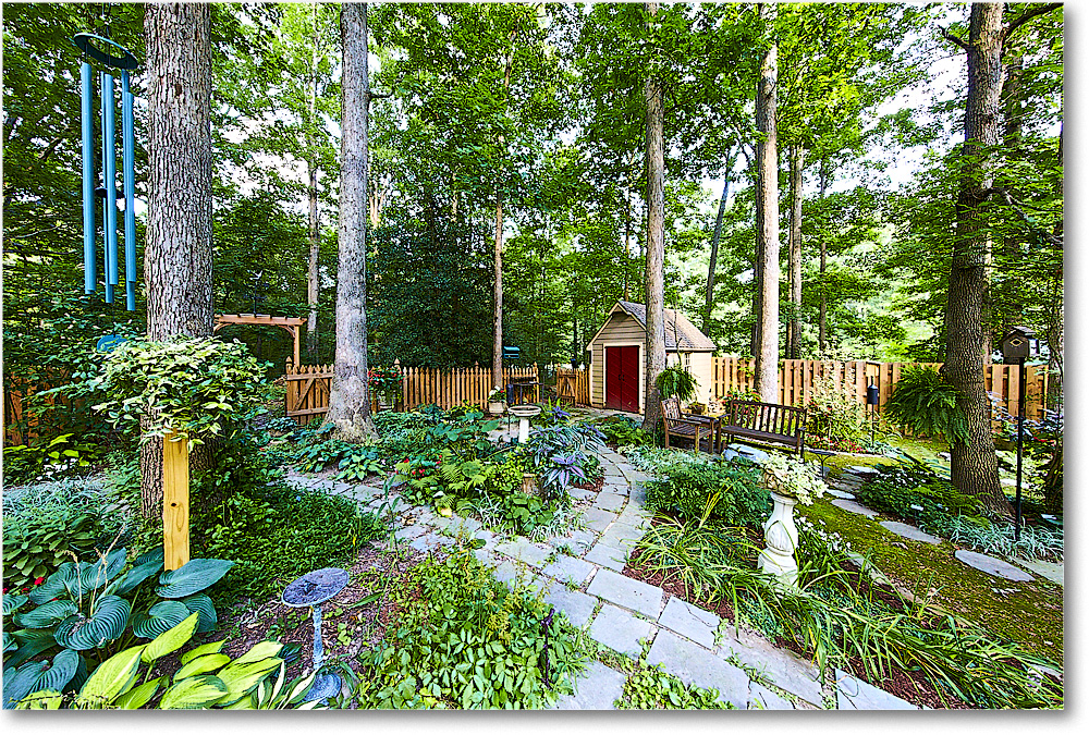 A168 Susie'sGarden_2015Jul_1DXA2702 copy