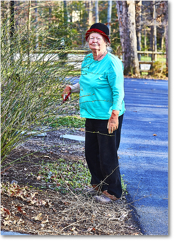 A245 SusanTheGardener_Home_2016Mar2DXB2194_1 copy