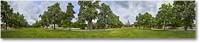 A018 PalaceGreen_Williamsburg_2025May_R5A25045-60_Panor360 copy