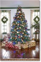 A111 Tree_Christmas2014_S3A8483 copy