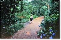 A143 Susan_Manteo_1988Jul_SCB6-R2C2-PT-KR35 copy