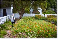 A149 Taliaferro-ColeGarden_Williamsburg_2019Oct_5D4A1890 copy