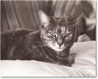 A176 Abigail_Hillcrest_1988Jan copy