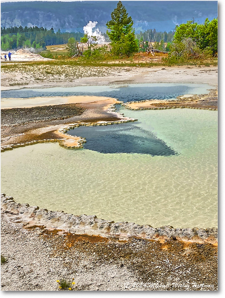 2024-07-26 16-02-33 copy