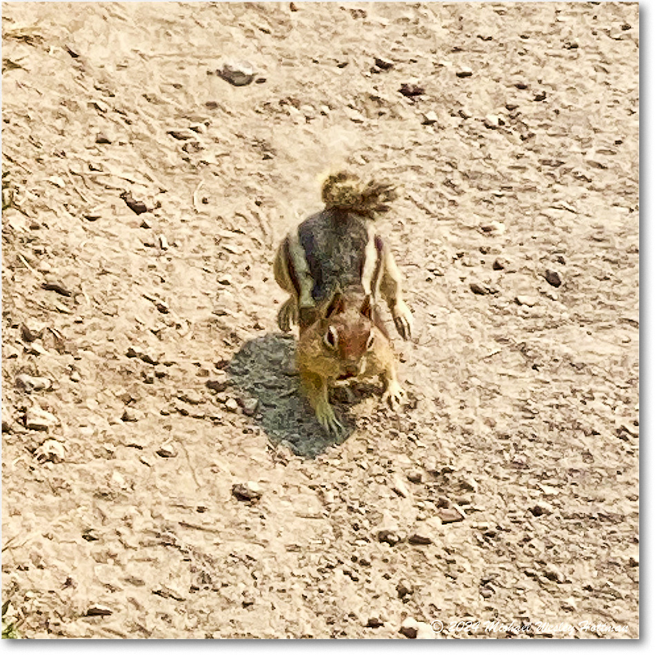 2024-07-26 16-56-33 copy