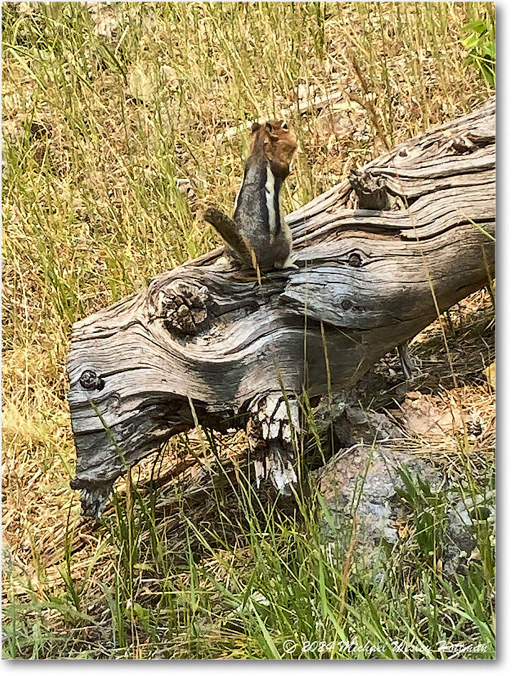 2024-07-26 16-56-39 copy