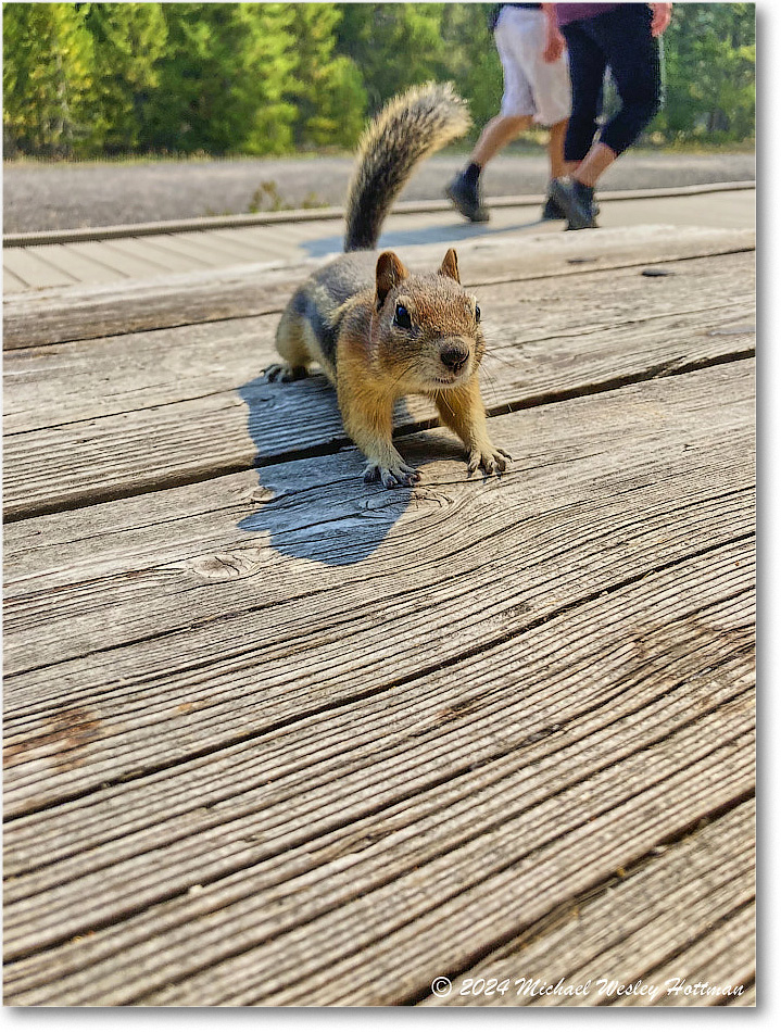 2024-07-27 12-56-12 copy