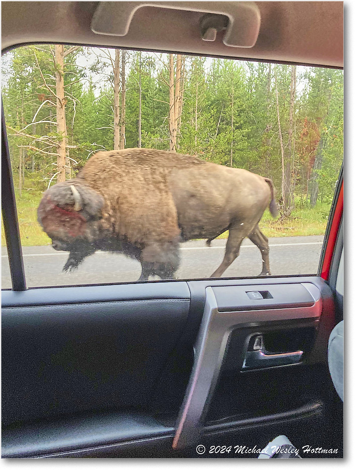 2024-07-28 10-32-51 copy