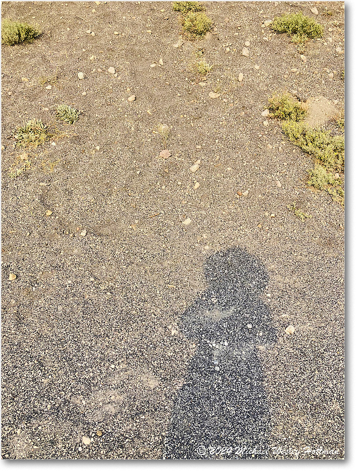 2024-07-28 11-26-02 copy