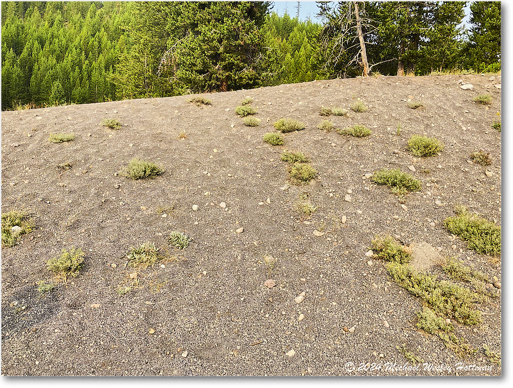 2024-07-28 11-26-13 copy