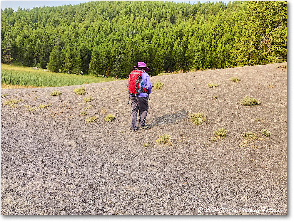 2024-07-28 11-26-23 copy